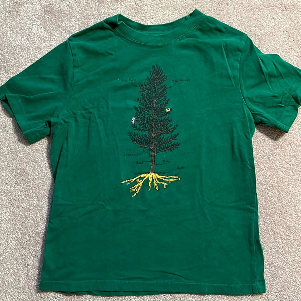 Boys Green Pine Tree and Owl TShirt Hanna Andersson